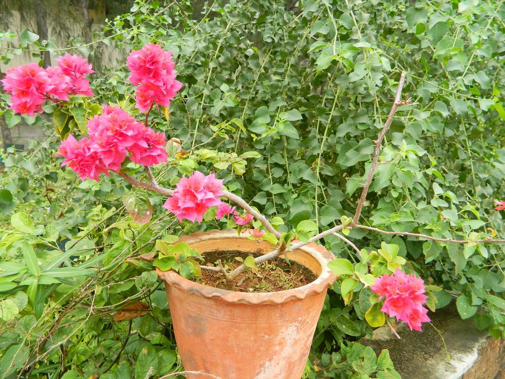 Stella Maris B&B Kanyakumari Luaran gambar
