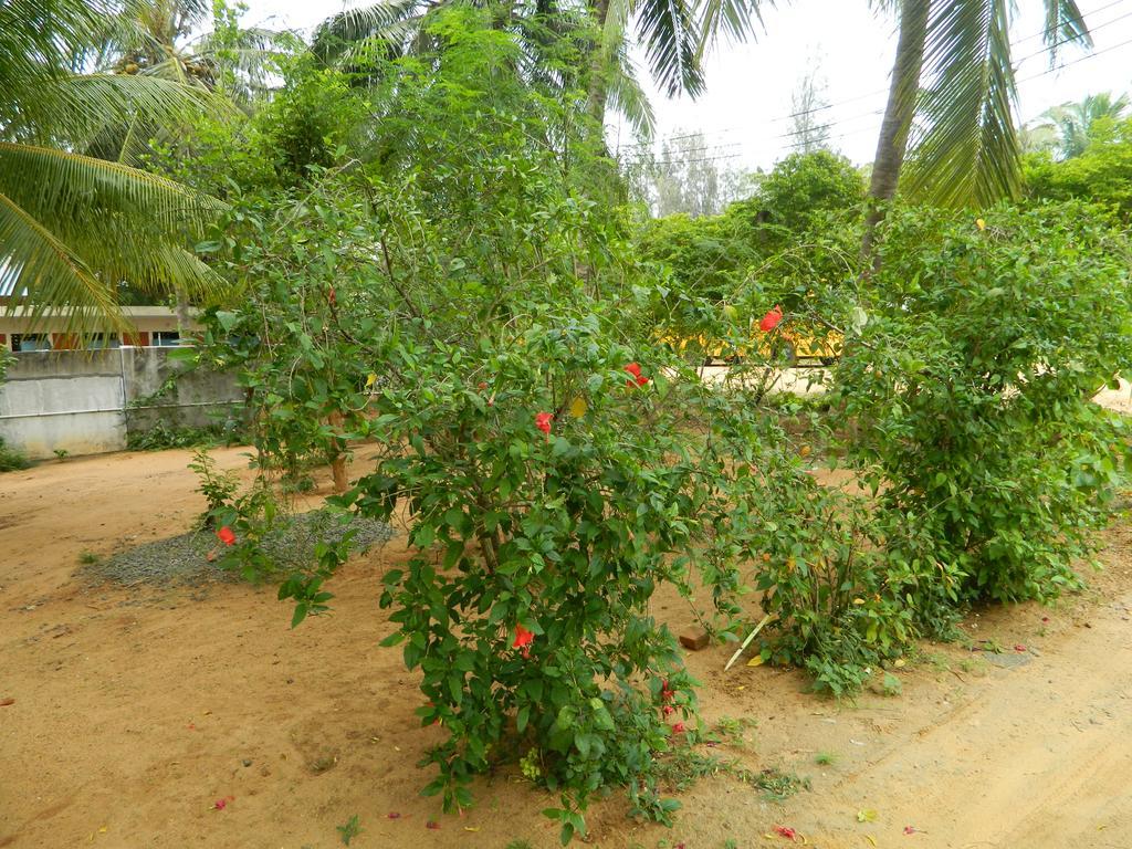Stella Maris B&B Kanyakumari Luaran gambar