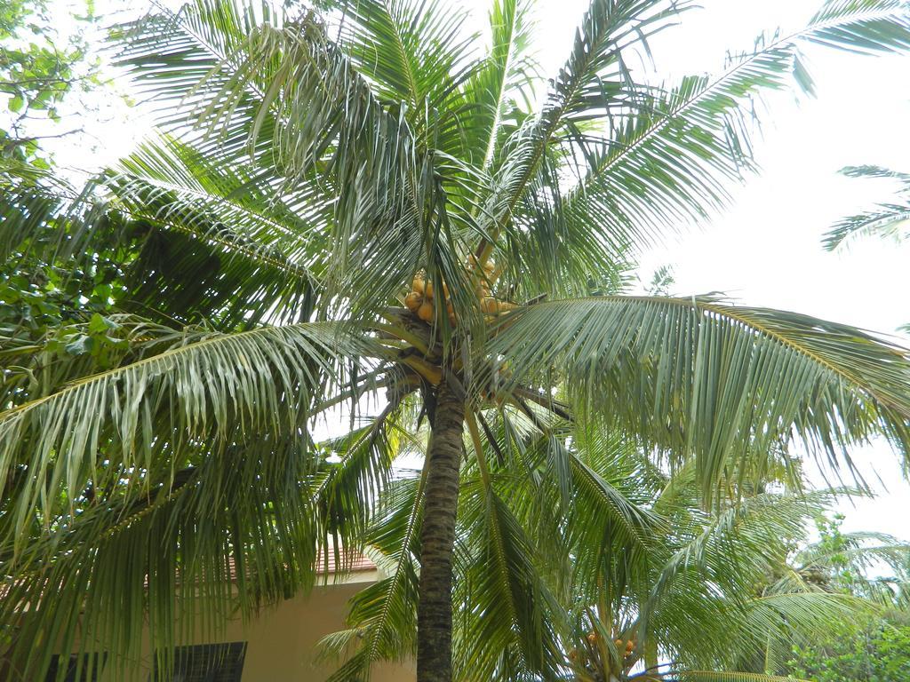 Stella Maris B&B Kanyakumari Luaran gambar