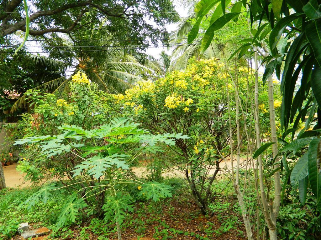 Stella Maris B&B Kanyakumari Luaran gambar