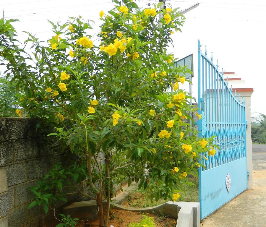 Stella Maris B&B Kanyakumari Luaran gambar